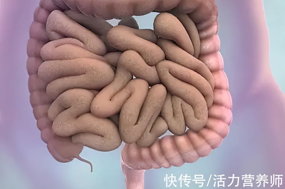 腰围|为什么越来越多的年轻人患肠癌?专家:除了吃以外,有这3点原因