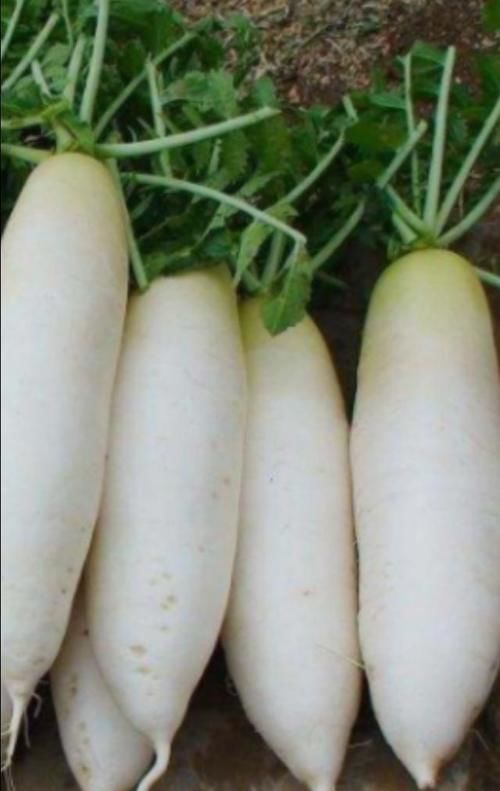  上桌|萝卜炖肉过时了，这么做萝卜，上桌几分钟就吃完，比吃肉强多了