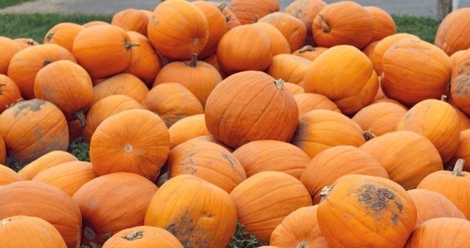 脑细胞|大脑最爱的食物,根本不是核桃“健脑菜”家家有,常吃记性好