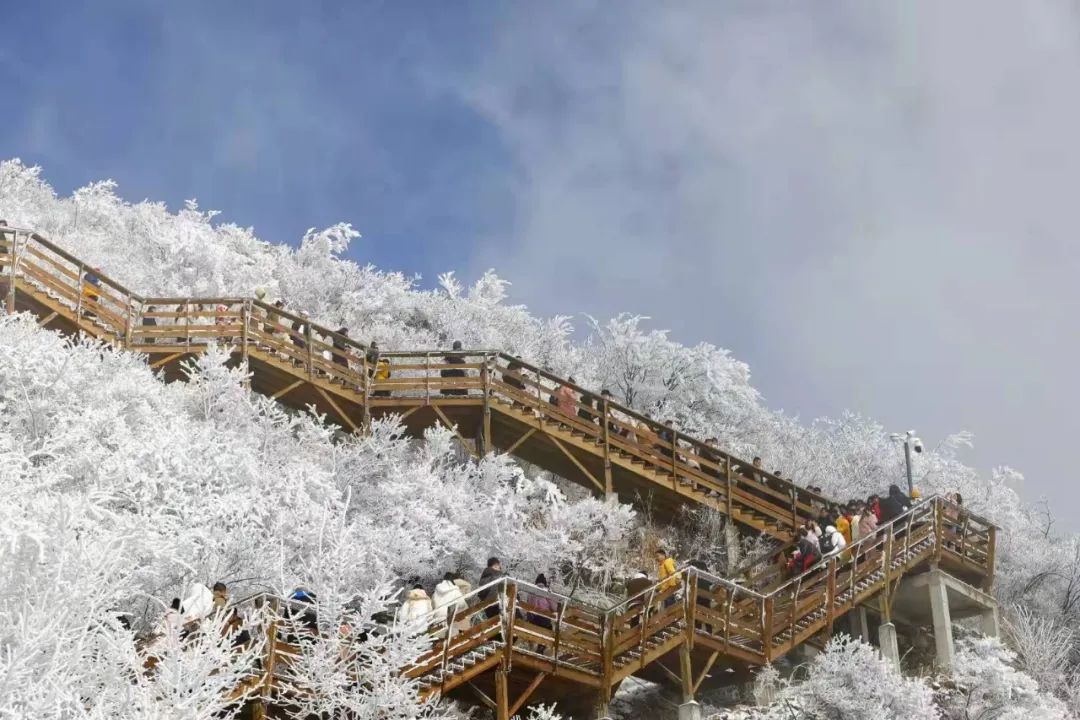 雪景|在六春湖邂逅雪景，定格冬日里的最美画面！期待下一场雪~