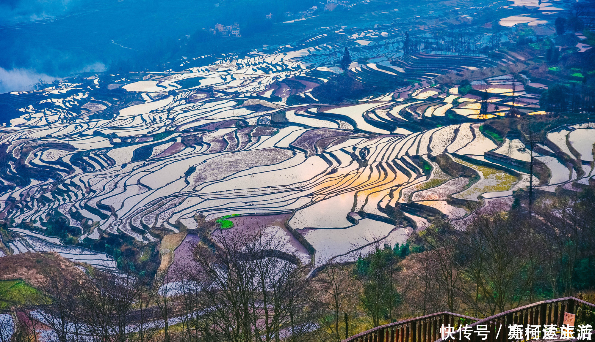 红河哈尼梯田|中国最大梯田，3700阶梯田像直插云海的天梯，游客：第一次见