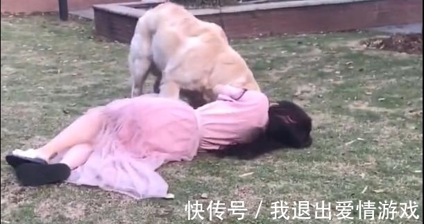 女主人假装晕倒 狗狗扑上来给她做人工呼吸 这动作尴尬了 快资讯 女主人假装晕倒 狗狗扑上来给她做人工呼吸 这动作尴尬了 快资讯