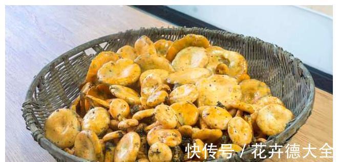 金针菇|宁可十天不吃肉,不可一日不食菌!8道菌类菜肴,荤素都有,收藏