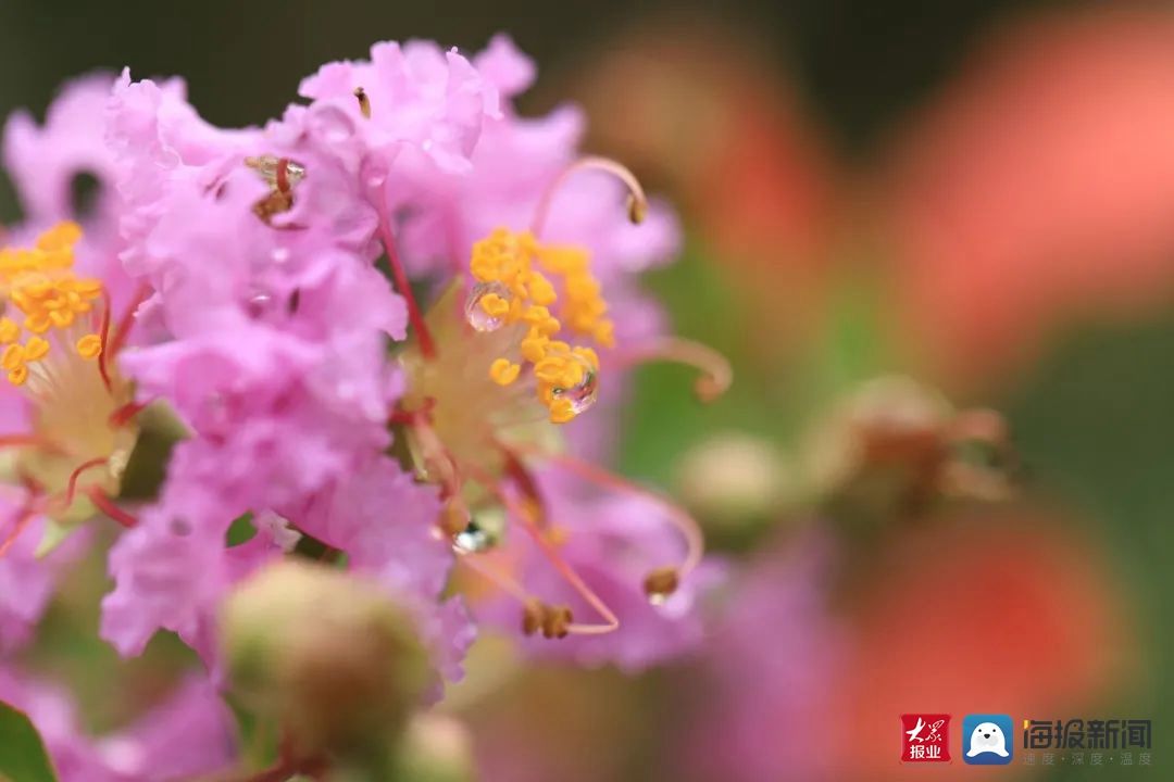 烟台理工学院|秋日特辑 ——一起领略烟台理工学院的金秋时光