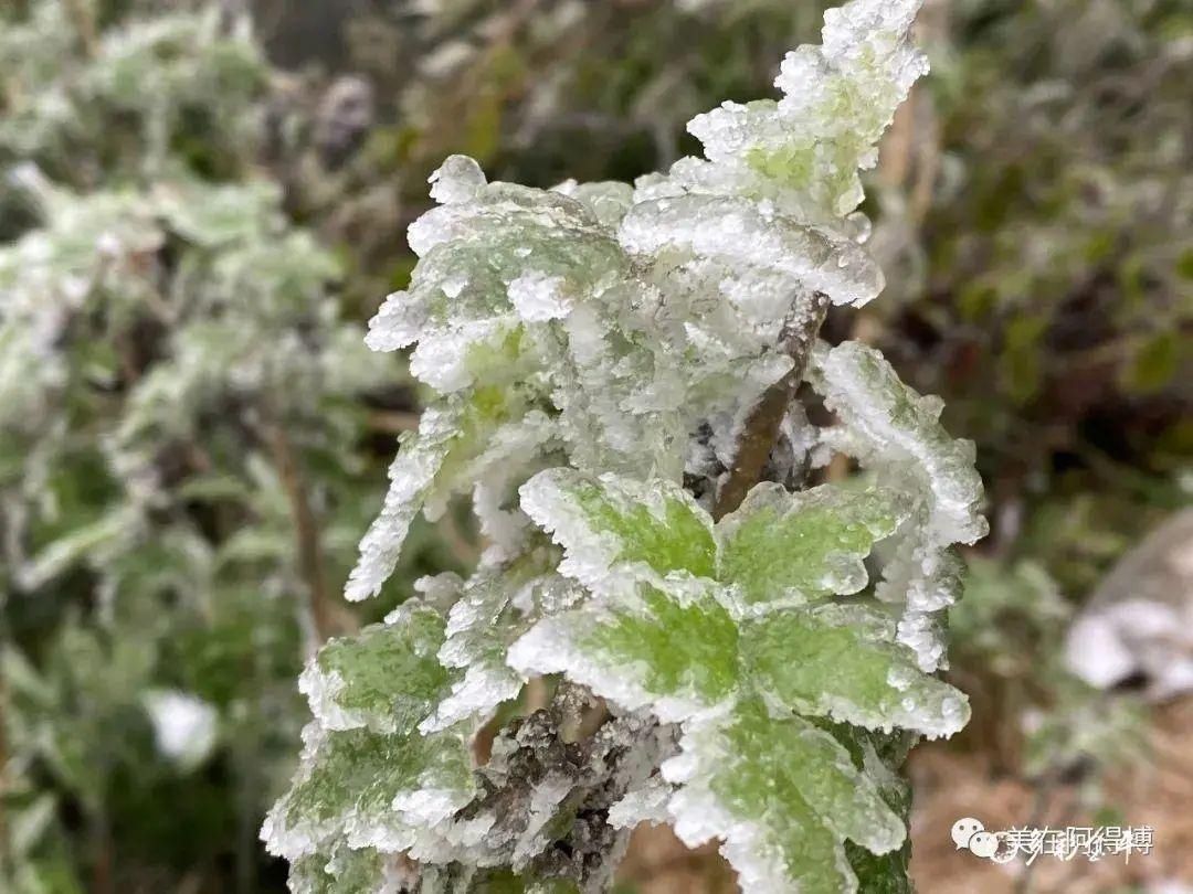 记忆 ｜寒潮再次来袭，还记得前几天的雪吗？