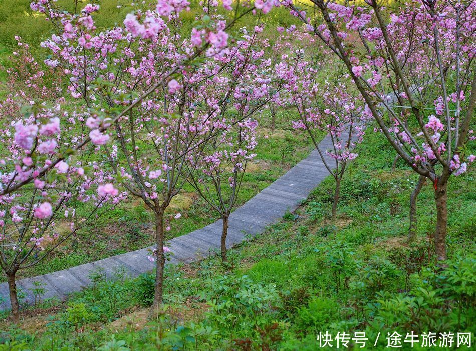 桐庐天子地，集樱花林、溶洞、湖泊峡谷的小众目的地，人少景美