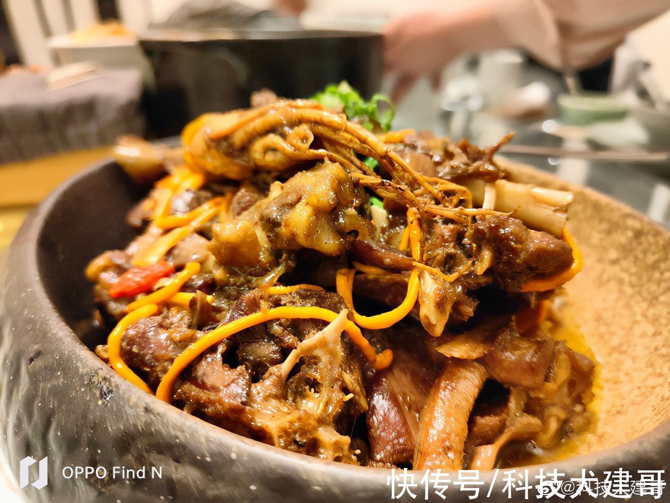 OPPO|「科技犬」OPPO Find N随手拍：锅包肉、酸菜饺子，太香了