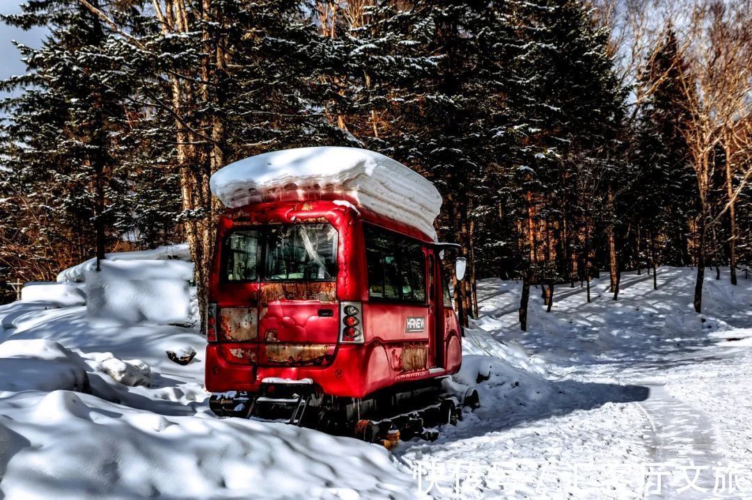 雪乡|这才是跟冬天最配的自驾线，沿途雪景美成童话，错过再等一年