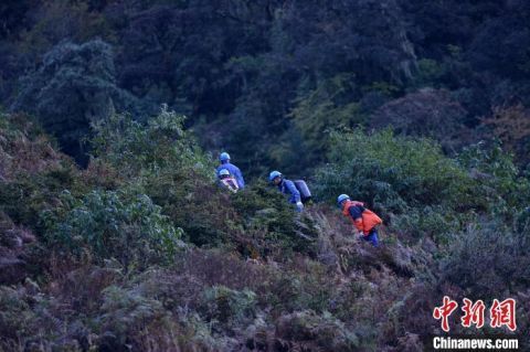  生活物资|四川大凉山“马背上的电力运维员”：无人区穿越7天走出大山