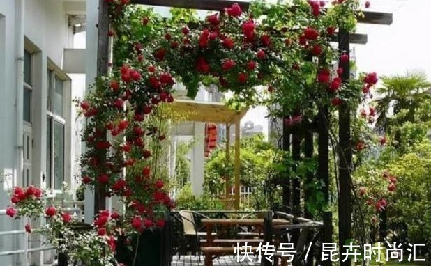 施肥|喜欢养花,先戒掉7个坏习惯,不然啥花也养不好,你占了几个?