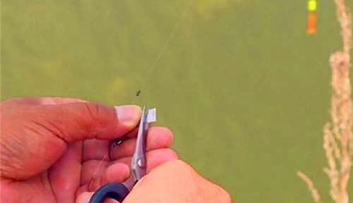 钓鱼技巧：钓目忽高忽低，十分影响垂钓，可以试着这样来调整！