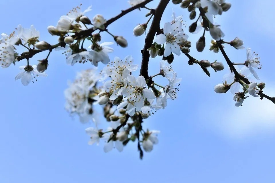 千古绝唱&全唐诗仅存他一首诗,被欧阳修、王安石等人拿来写成了千古绝唱!