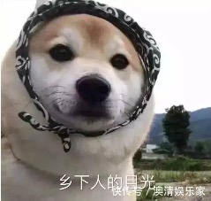 中国居民膳食指南|这4种方法补钙不比牛奶差，有2种不花钱