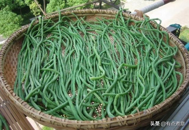 泡软|这5种蔬菜晒干后，比新鲜的还好吃！煲汤炖肉都行，放1年也不坏