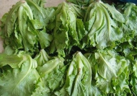 排毒养颜|补钙别喝骨头汤、吃虾皮了,太贵啦,今天告诉你1种超强补钙菜