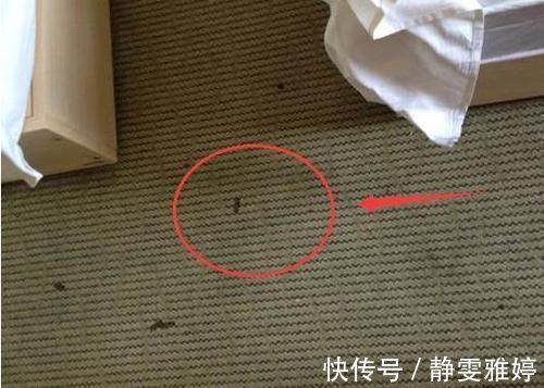 洗碗机|装修完搬进新家三天三夜睡不着!这12个装修坑让人疲惫,白糟蹋钱