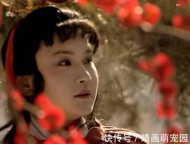 红楼梦!宝玉是小名,大名叫啥?你看与“贾琏贾珠贾环”合起来念什么?