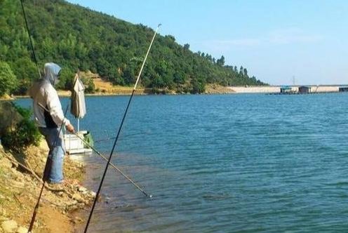 钓鱼高手不会告诉你的诱饵与技巧,小鱼不闹窝,大鱼全上钩!