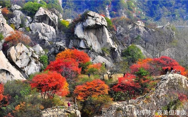 天已晴，叶已红！翠华最美秋景带你一键get！