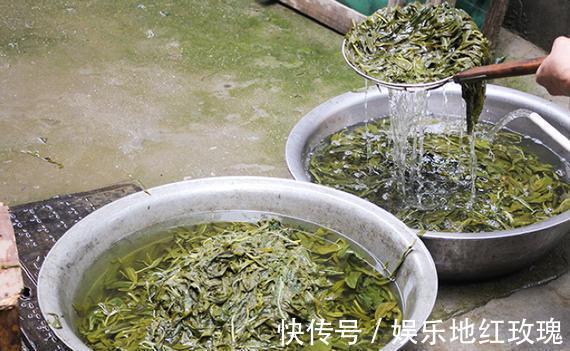 凉拌菜|种子经常吃,殊不知叶子珍贵,煮面条是一绝,7月正值采摘季