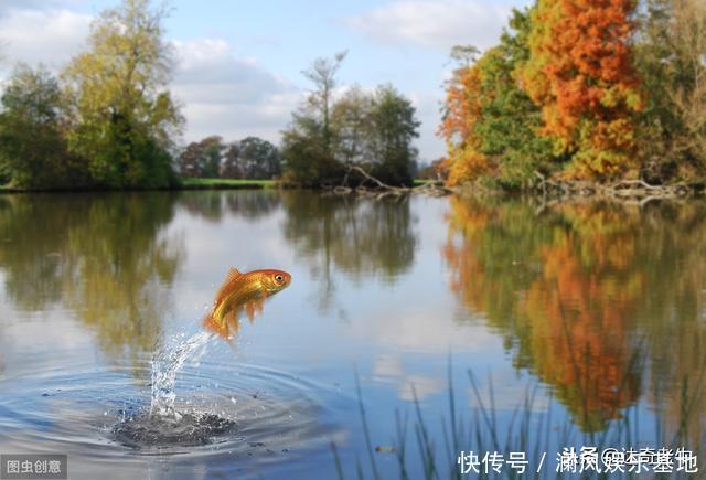  鱼在水面跳跃有5大原因，却不是因为缺氧，钓鱼时认清才会有收获