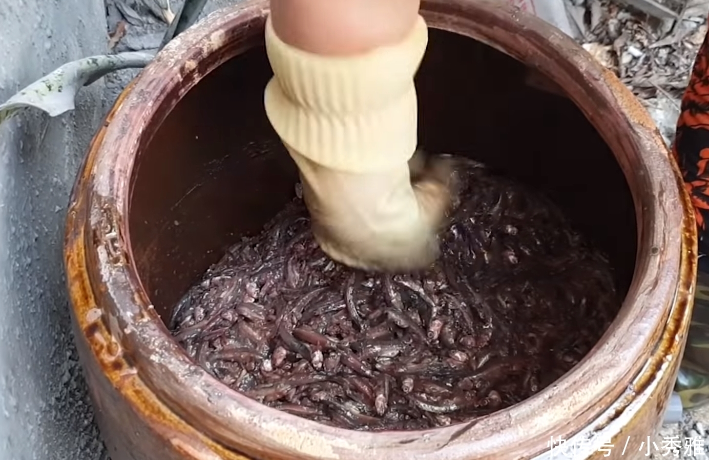 一家人|大婶把鱼扔进缸里,不杀也不洗,2个月后开缸一家人都吃“嗨”了