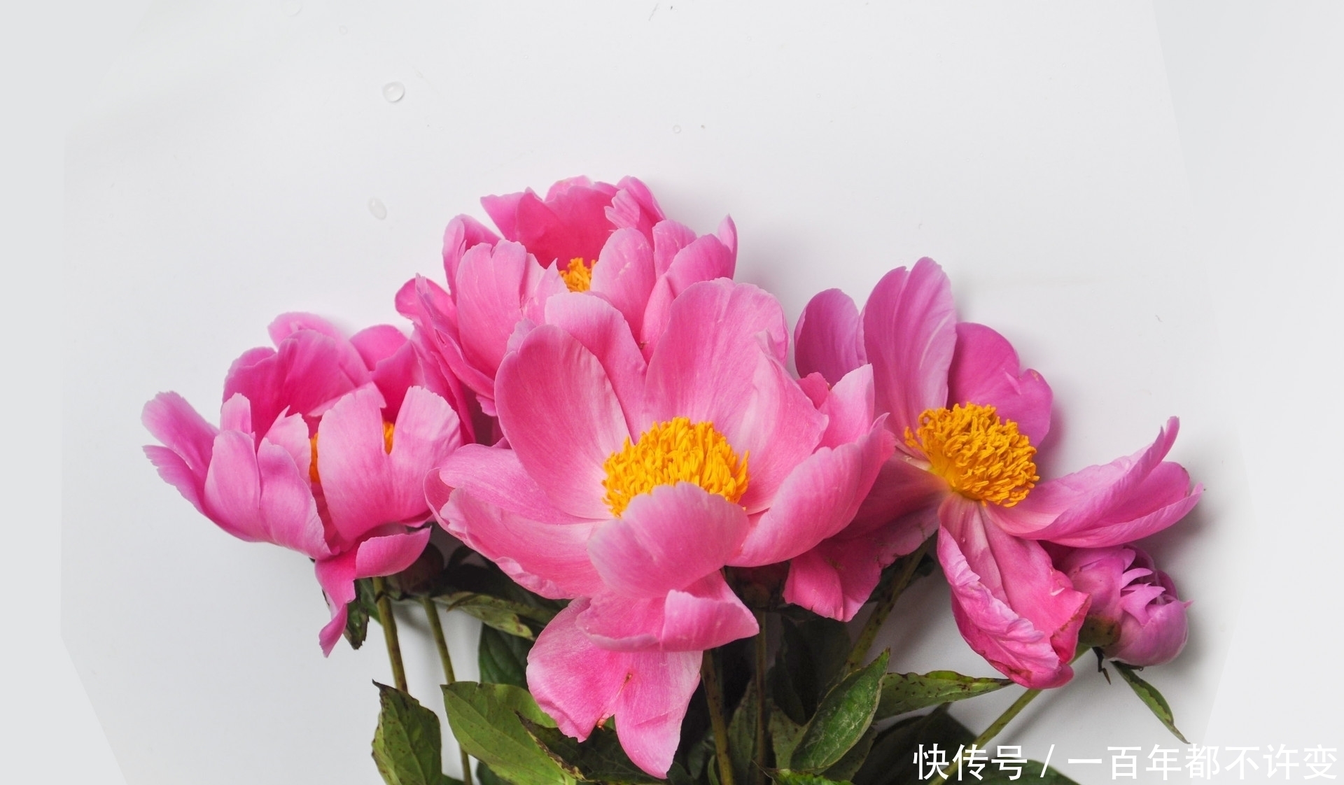 才学$真正厉害的人,从不炫耀,却在这些时候自带光芒