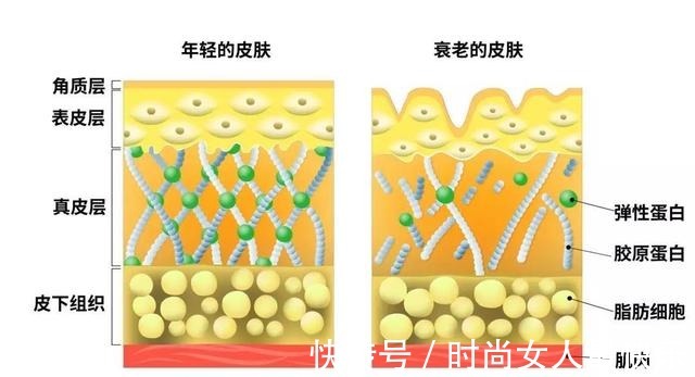 胶原蛋白 你知道哪些医美项目适合自己吗!