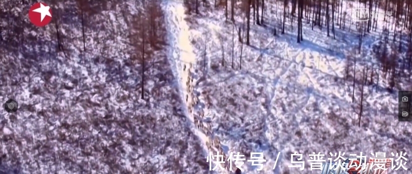 桦树皮|《极限挑战宝藏行2》:绿水青山就是金山银山