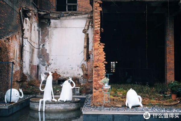 玫瑰|旅行其实很简单 篇九百八十七：入住送粉色玫瑰，整家酒店都是Pink！Pink！Pink！