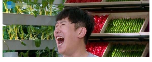 《奔跑吧黄河篇2》开播,新成员取代郑恺位置,撑起了整期节目?