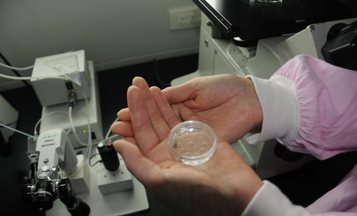 怀孕|女人最晚受孕年龄是多少医生超过这个年龄，就不建议生了