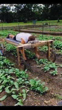 |搞笑GIF:逗什么都行可千万别逗猴子,不然这就是下场