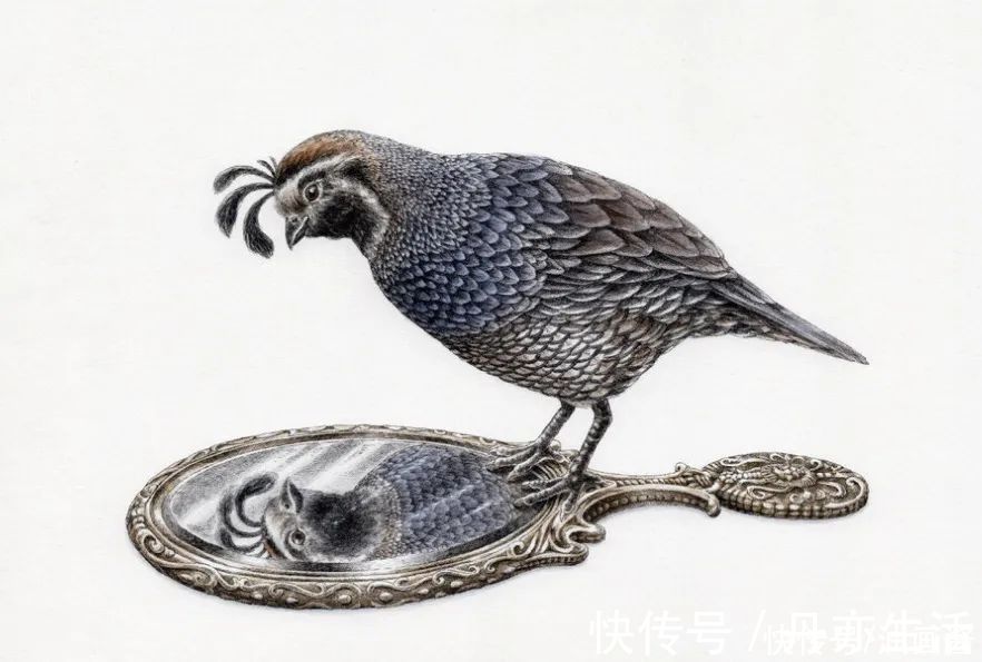 艺术家@90后画家用针管笔绘画,一幅画耗时数百小时,精致极了