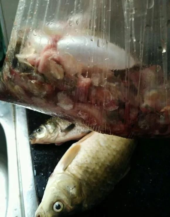 爆盆|养花不开花？自制“开花肥”，浇盆里猛开花，不用花钱买