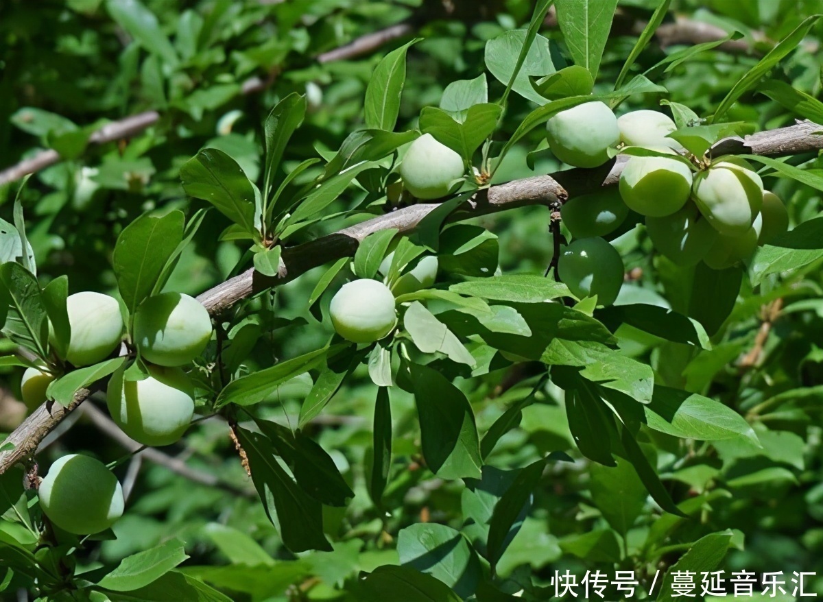 排毒|女性不想老太快，多吃3种食物，排毒抗衰，袪皱护肤，肌肤更细腻