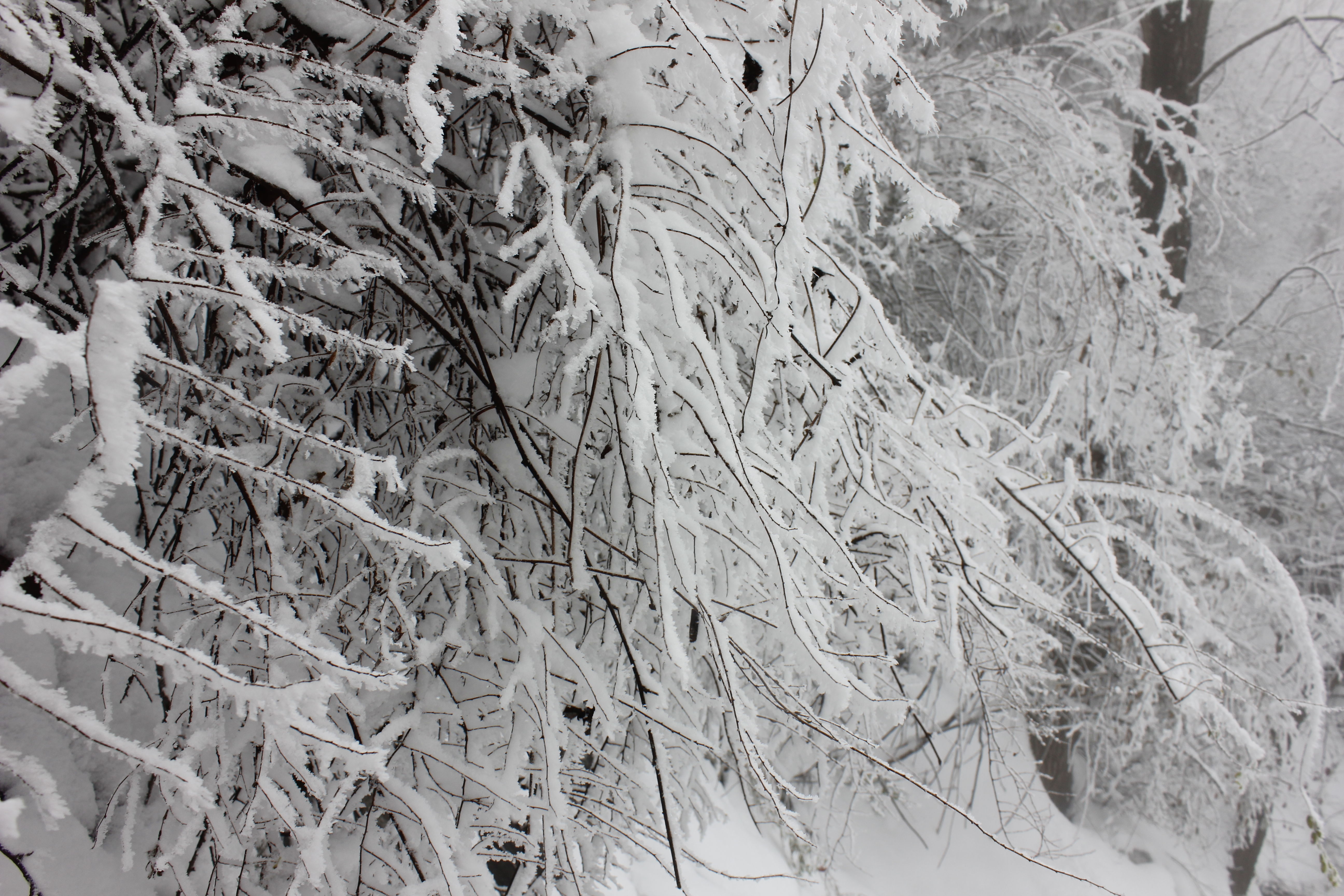 征集|【年末福利征集】雪后南五台幸遇云海