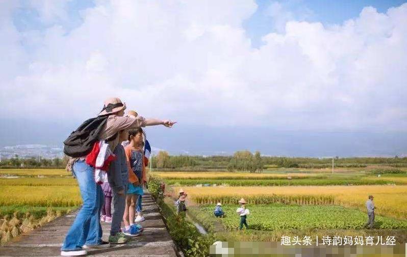 写作文|小学生作文《我的妈妈》火了，老师直接给优，宝妈看后哭笑不得