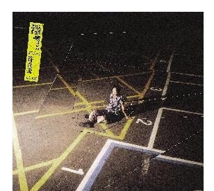 作品|有态度的作品绝不是惺惺作态的凡尔赛