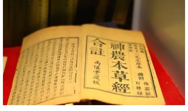 偏性|药补不如食补！对应五脏养生食疗，一篇看懂食物的「四气五味」