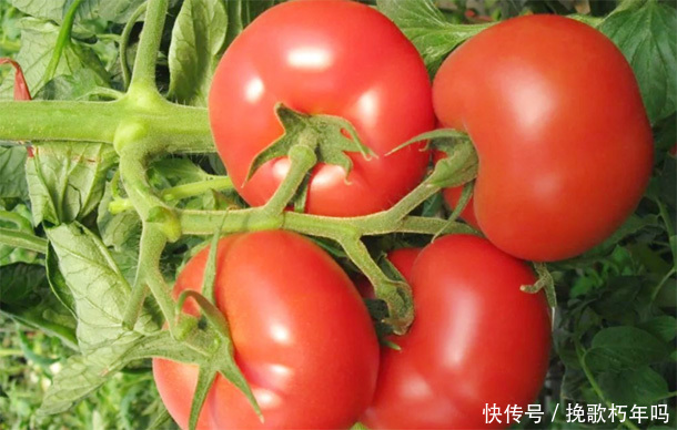 女性|女性想减肥,又不想“挨饿”,多吃5种食物,可饱腹还能越吃越瘦