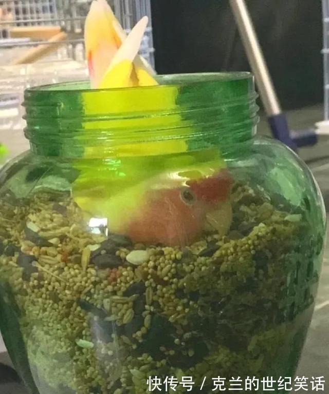 学校食堂大妈对西红柿炒鸡蛋是不是有什么误解?