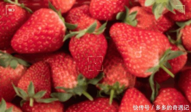 瓜果|瓜果飘香|太甜!如果凉山的冬天有味道,一定是草莓味的~
