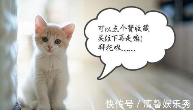 主食|减肥其实并不难,记住早上3个坚持,晚上4个注意,你也能瘦下来