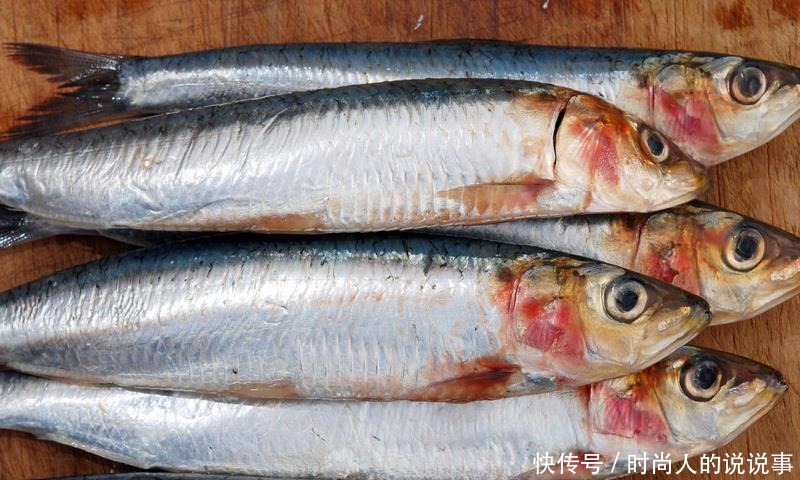 养殖|买海鱼时,这5种海鱼放心买,人工没法养,美味又营养!