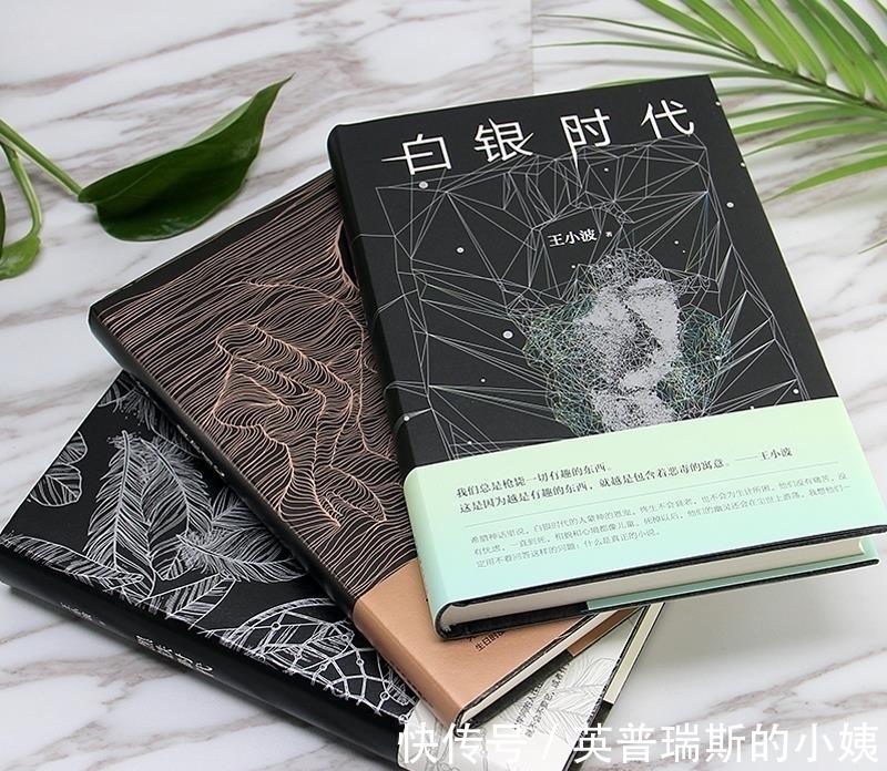 王小波$45岁王小波深夜去世,好友帮忙处理后事,火化时,机器竟不动了?