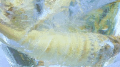 食材|究竟是什么神仙食材美味下饭又能减肥,比肉好吃还能瘦!