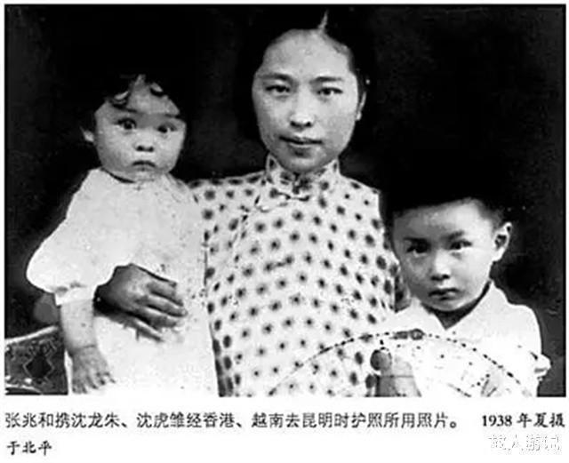 茶米油盐@沈从文转入精神病院,张兆和从不探望,临终前他对妻子说对不起