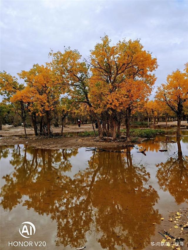 拈花一笑为红颜,无奈雨霾非吾恋