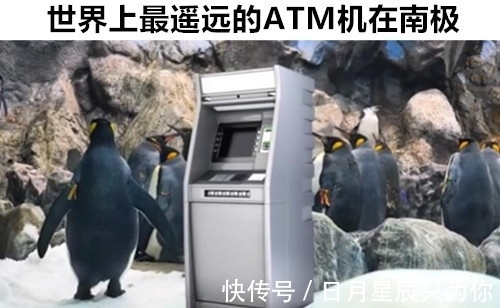 12个即便“满腹经纶”的学霸,也可能不知道的罕见冷知识